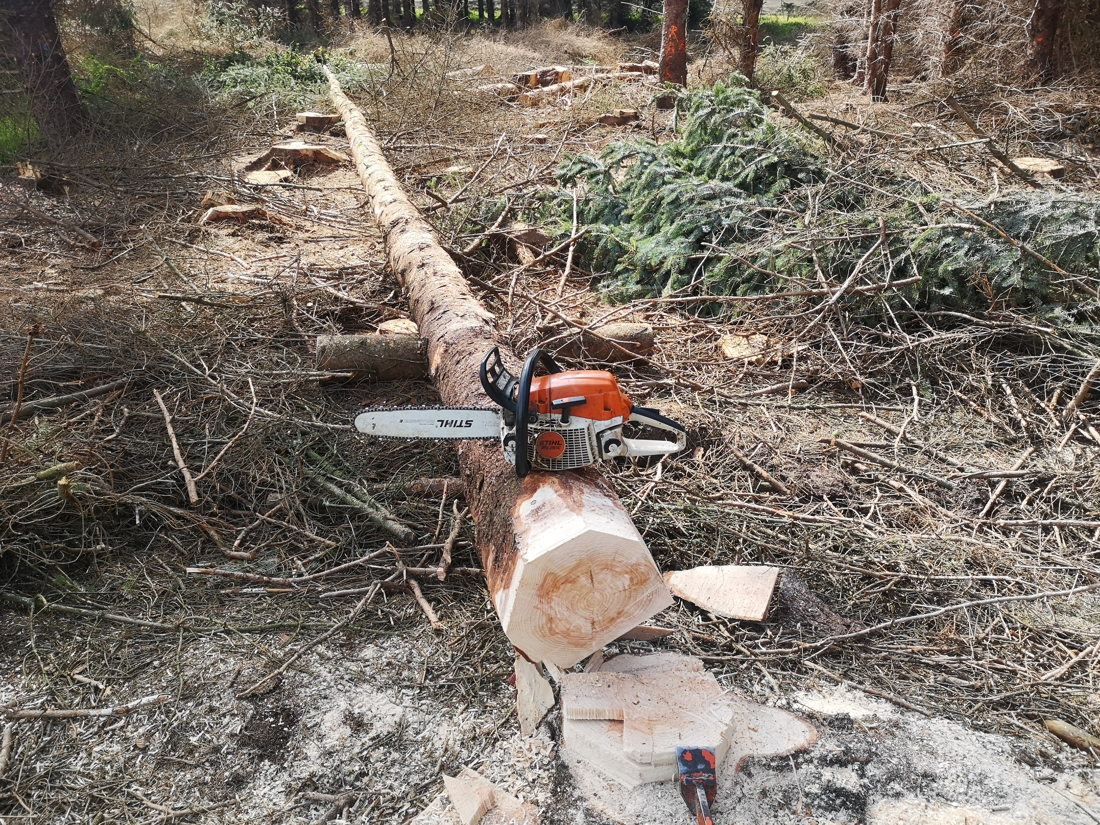 Commercial forestry services